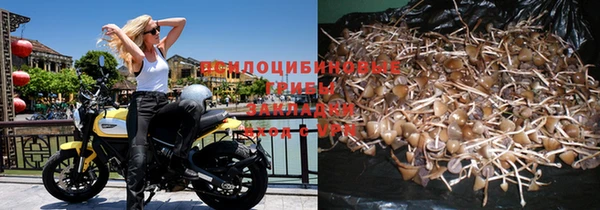 spice Богданович