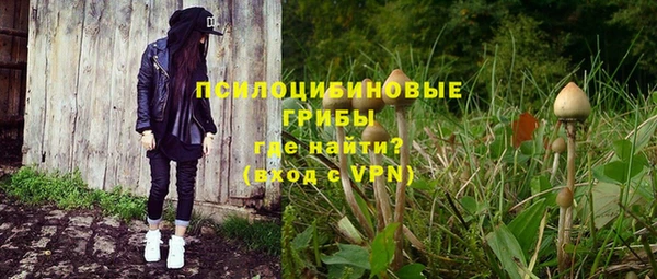 a pvp Богородск